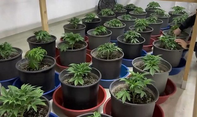 İstanbul - Maltepe'de uyuşturucu ticareti yapan 3 şüpheli yakalandı