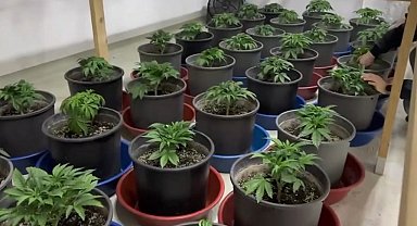 İstanbul - Maltepe'de uyuşturucu ticareti yapan 3 şüpheli yakalandı