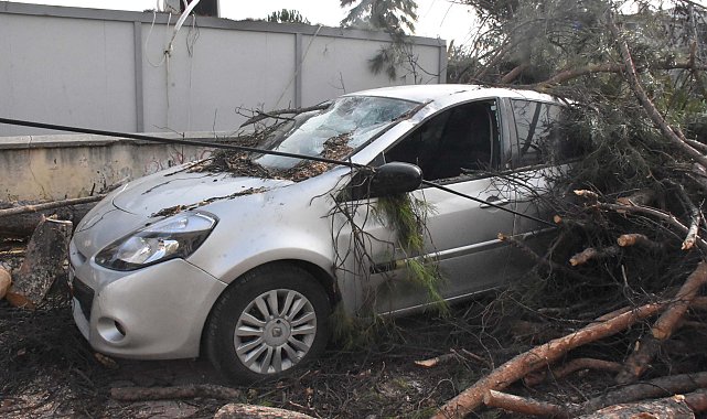 İzmir'de kuvvetli rüzgarda park halindeki otomobilin üzerine ağaç devirdi