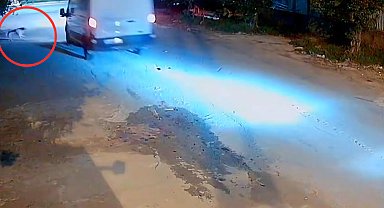 Kamyonet sürücüsü, araca havlayan köpeği ezdi