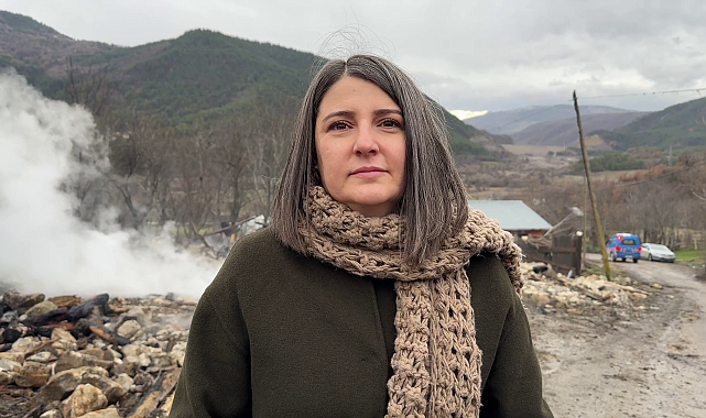 Karabük'te 4 ev, ahır ve traktör yandı, 2 büyükbaş öldü