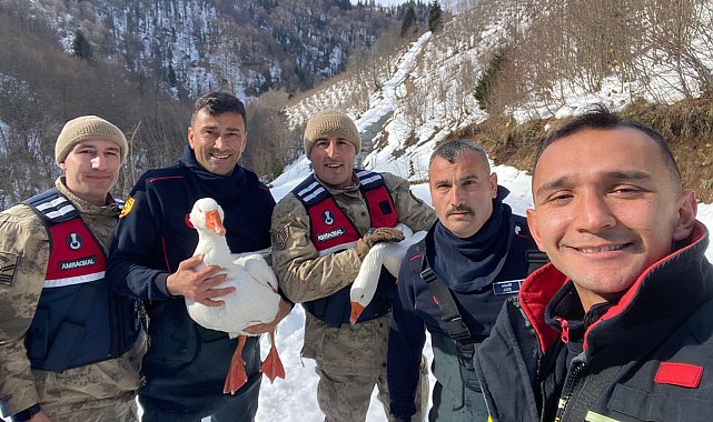 Kaybolan kazları ekipler buldu