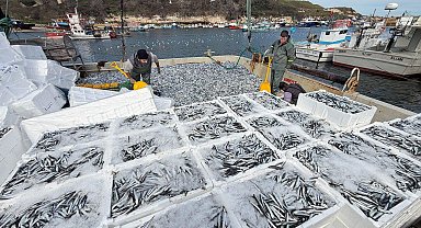 Kırklarelili balıkçılar, Karadeniz'de 6 saatte 30 ton hamsi avladı