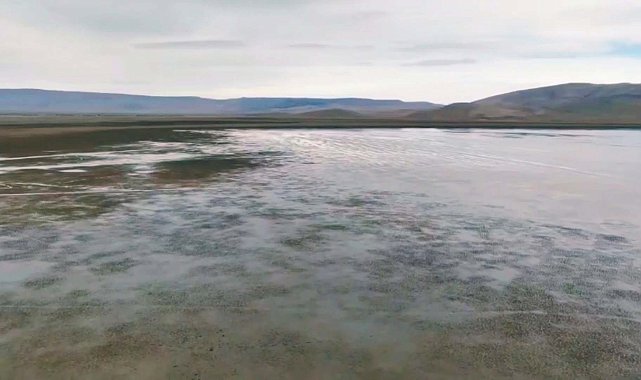 Kuruyan Çavuşçu Gölü, yeniden su tutmaya başladı