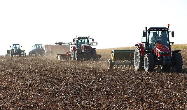 Mardin'de kar ve yağmur, çiftçiyi sevindirdi; bereket yılı bekleniyor