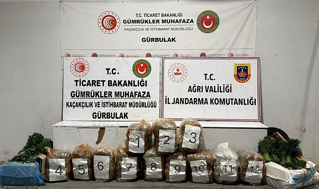 Maydanoz ve dereotu yüklü TIR'dan 51 kilo esrar çıktı