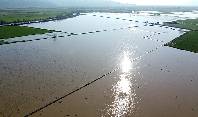 Menderes Nehri taştı: 2 bin dönümlük arazi sular altında kaldı