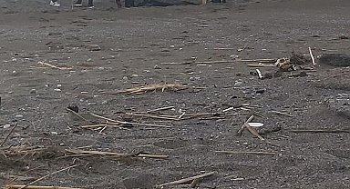 Muğla'da sahilde erkek cesedi bulundu