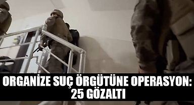 organize suç örgütüne operasyon: 25 gözaltı
