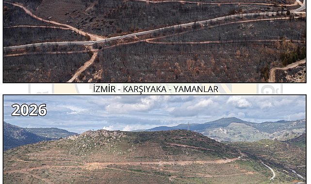 Orman yangını ile zarar gören Yamanlar, yeniden yeşile bürünüyor