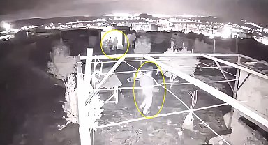 Osmaniye'de güvercin hırsızlığı kamerada