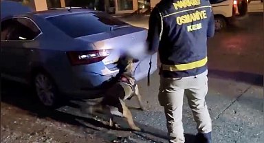 Osmaniye'de otomobil bagajında 36 kilo skunk ele geçirildi: 2 tutuklama