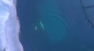 Rusya'da Baykal Gölü'nde tur aracı buzun altına düştü: 8 ölü