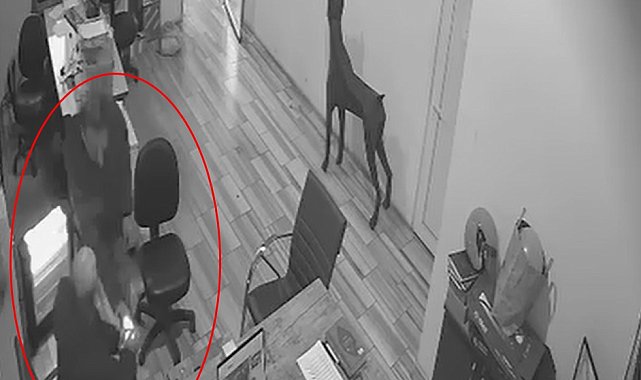 Şaka yapmak isterken arkadaşının kolonyalı ellerini yaktı: O anlar kamerada