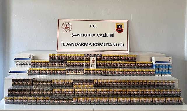 Şanlıurfa'da 11 bin paket kaçak sigara ele geçirildi