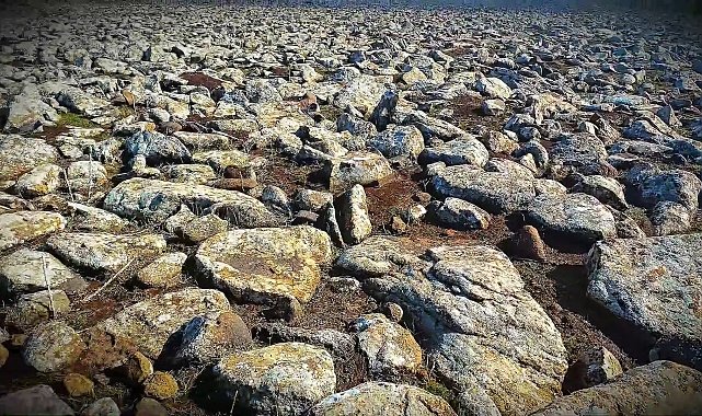 Şanlıurfa'da volkanik bazalt taşlarının altında cephanelik ele geçirildi: 8 gözaltı