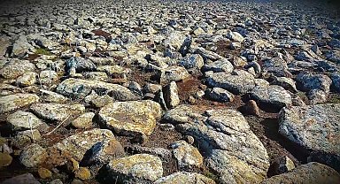 Şanlıurfa'da volkanik bazalt taşlarının altında cephanelik ele geçirildi: 8 gözaltı