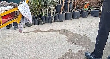 Seyyar satıcılar, kendilerini uyaran zabıtalara bıçakla saldırdı