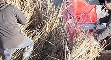 Sinop'ta yasa dışı avcılık operasyonu; 5 güme imha edildi