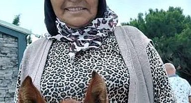 Teravihe giderken kamyonet çarptı, hayatını kaybetti