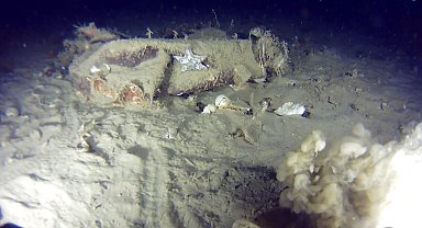 THY'nin 51 yıl önce düşen uçağının enkazından yeni parçalar bulundu