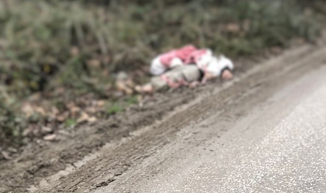 TIR'la getirilip, köye bırakılan düzensiz göçmenler yakalandı; 1 göçmen hipotermiden öldü