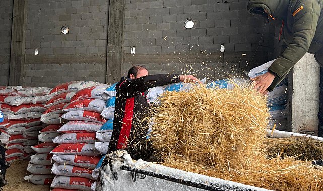 TIR'larda mahsur kalan 200 büyükbaşa yem desteği