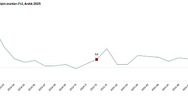 TÜİK: Hizmet üretim endeksi aralıkta yıllık yüzde 4,2 arttı