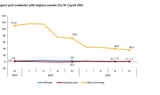TÜİK: İstihdam endeksi 4'üncü çeyrekte yüzde 1,1 arttı