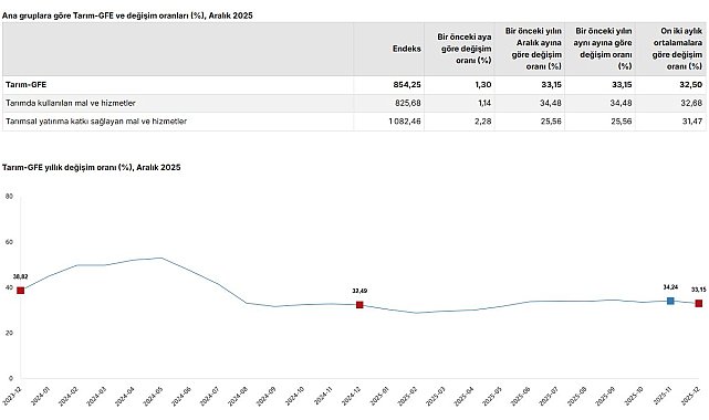 TÜİK: Tarımsal girdi fiyatları aralıkta arttı
