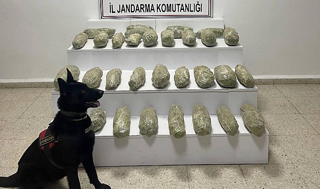 Van kırsalında 21 kilo 350 gram skunk ele geçirildi