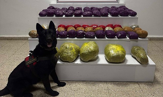 Van'da arazide 31 kilo uyuşturucu ele geçirildi