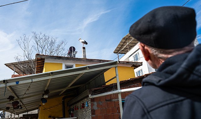 Yaren leyleğin eşi Nazlı geldi