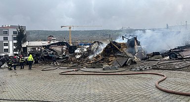 Ahır yangınında çok sayıda hayvan öldü