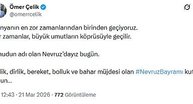 AK Parti'li Çelik'ten 'Nevruz Bayramı' mesajı