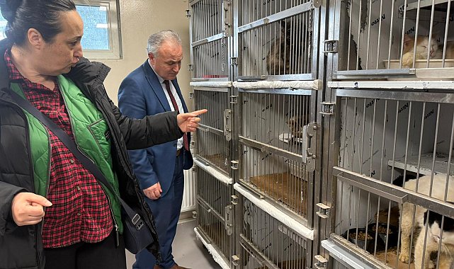 Ankara'da kötü şartlarda tutulan 102 hayvana el konuldu