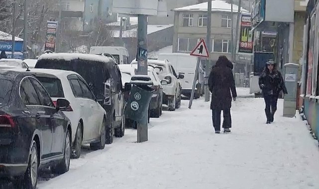 Ardahan'da kar yağışı etkili oldu