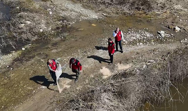 Aydın'da flamingolar için yemleme çalışması