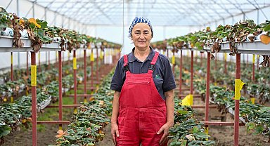 BAU Farm'da üretimin gücü 'kadınlar'