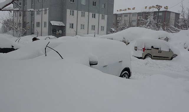 Bitlis'te kar nedeniyle 288 köy yolu ulaşıma kapandı