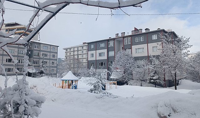 Bitlis'te kar yağışı