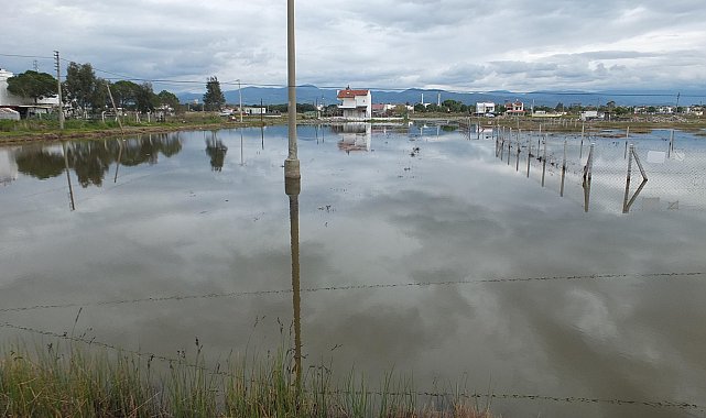 Burhaniye'de yazlıklar ve tarlalar su içinde kaldı