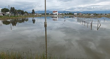 Burhaniye'de yazlıklar ve tarlalar su içinde kaldı