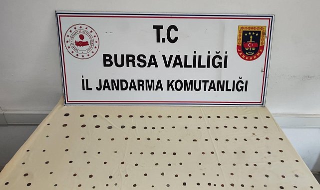 Bursa'da 137 sikke ele geçirildi