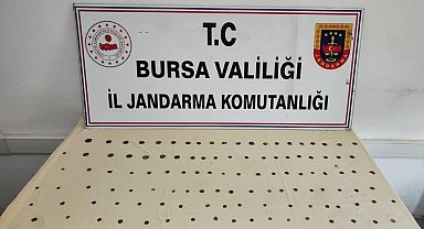Bursa'da 137 sikke ele geçirildi