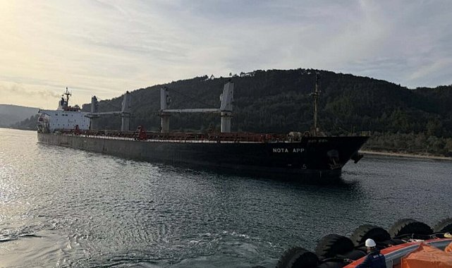 Çanakkale Boğazı'nda makine arızası yapan dökme yük gemisi karaya oturdu