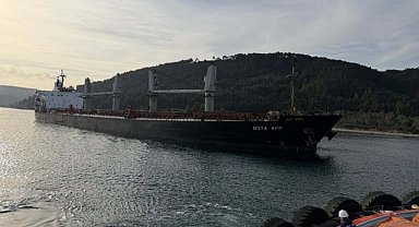 Çanakkale Boğazı'nda makine arızası yapan dökme yük gemisi karaya oturdu