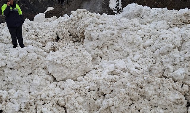 Çatak'ta çığ düştü; 1 mahalle ve 8 mezra ulaşıma kapandı