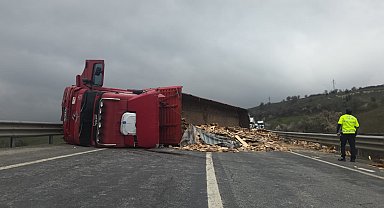 Devrilen ahşap yüklü TIR'ın şoförü yaralandı