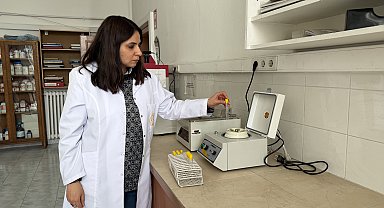 Doğada ölü bulunan hayvanlar üzerinde genetik inceleme